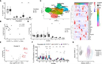 Transcriptome and TCR Repertoire Measurements of CXCR3+ T Follicular Helper Cells Within HIV-Infected Human Lymph Nodes